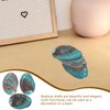 DOITOOL Abalone Shell 3pcs Abalone Shell Smudge Bowls Shell Smudge