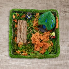 Esterno Square Fairy Garden Display, DIY Dried Moss Enchanted Landscape Terrarium Starter Kit
