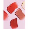 Vegan Tinted Lip Balm / 비건 틴티드립밤