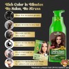 Herbishh - Champú colorante para cabello gris, champú con tinte