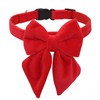 THAIN Pet Collar, Dog Collar, Dog Collar, For Small, Medium,