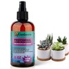 𝐒𝐔𝐏𝐄𝐑𝐈𝐎𝐑 Liquid Silica Boost Fertilizer and Supplement Spray for Succulents