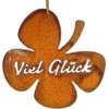 Clover Leaf Good Luck 19 x 19 cm Rust Look