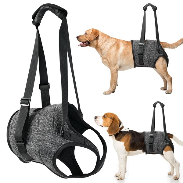 AUTOWT Lift Harness for Medium Large Dogs, Adjustable Dog Mobility