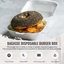 We Can Source It Ltd - Clamshell Bagasse Takeaway Burger Box 6 Inch - 100% Biodegradable, Compostable & Eco-Friendly Food Boxes with ZERO Carbon Footprint! (500)