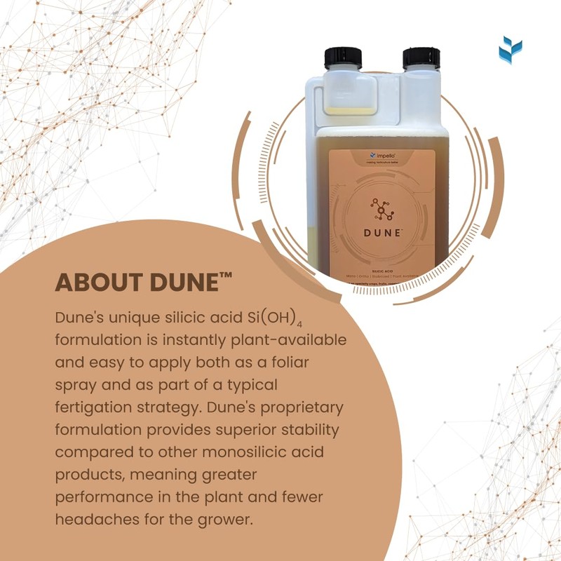 Dune - Bioavailable Silica for Plants – Strengthens Cell Walls,