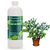 𝐏𝐑𝐎𝐅𝐄𝐒𝐒𝐈𝐎𝐍𝐀𝐋 Liquid Silica Plant Supplement - 32oz - Lime Trees