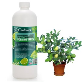 𝐏𝐑𝐎𝐅𝐄𝐒𝐒𝐈𝐎𝐍𝐀𝐋 Liquid Silica Plant Supplement - 32oz - Lime Trees Plants Liquid Silica Boost Fertilizer - Stronger Stems & Healthy Leaves for Indoor & Outdoor Lime Trees (Makes 180 Gallons)