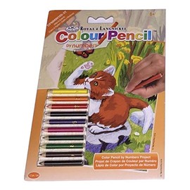 Royal & Langnickel Colour Pencil by Numbers ~ Kitten and Butterfly