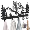 VVIVICOMF Metal Owl Hooks Wall Art Decor-Owl Hangers and Key