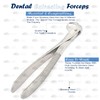 DDP Dental Tooth Extracting Forceps # 86