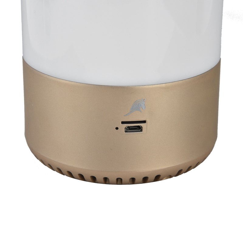 LED Night Light Smart Touch Lamp RGB Colorful 2.4GHZ Wireless