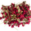 katz Artificial Berries 50 Branches with 100 Cherries with Leaf