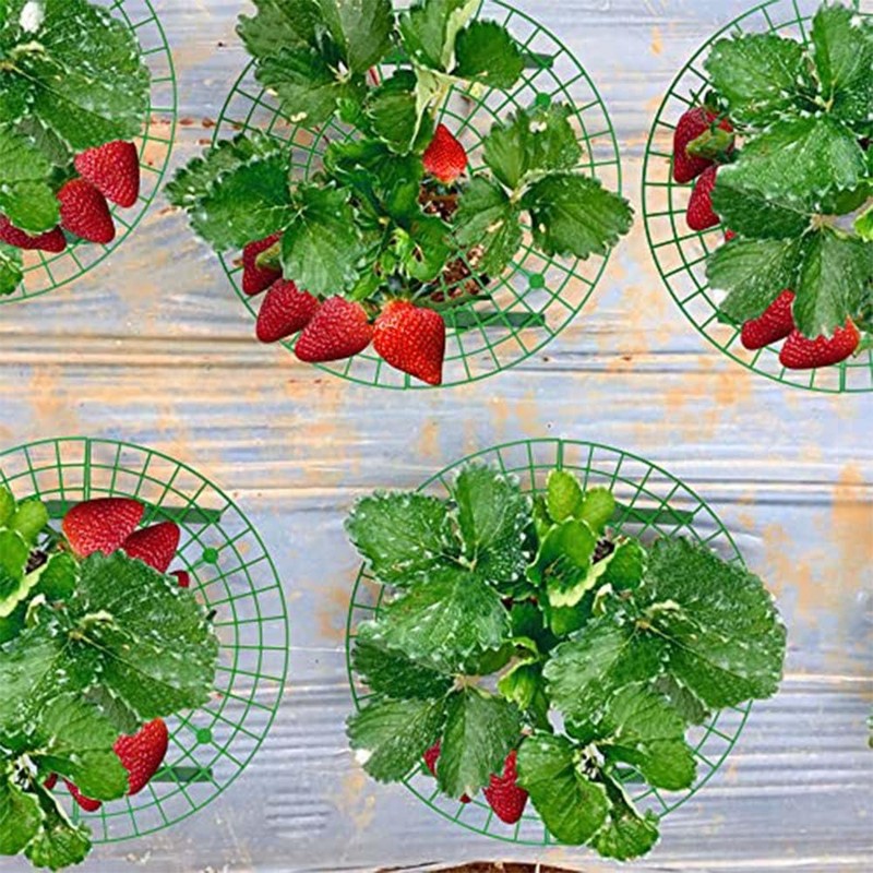 Iceyyyy 5 Pack Strawberry Plant Support - Strawberry Growing Racks