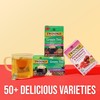 Twinings Green Tea with Pomegranate, Raspberry, & Strawberry Individually Wrapped