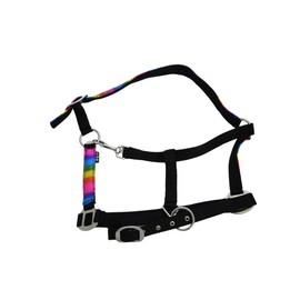 Start RainbowCloth Lined Headcollar for Horses, Adjustable Rainbow Pattern, One Million Colours