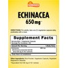 Sundance Echinacea 650mg | 100 Capsules | Traditional Herb Supplement