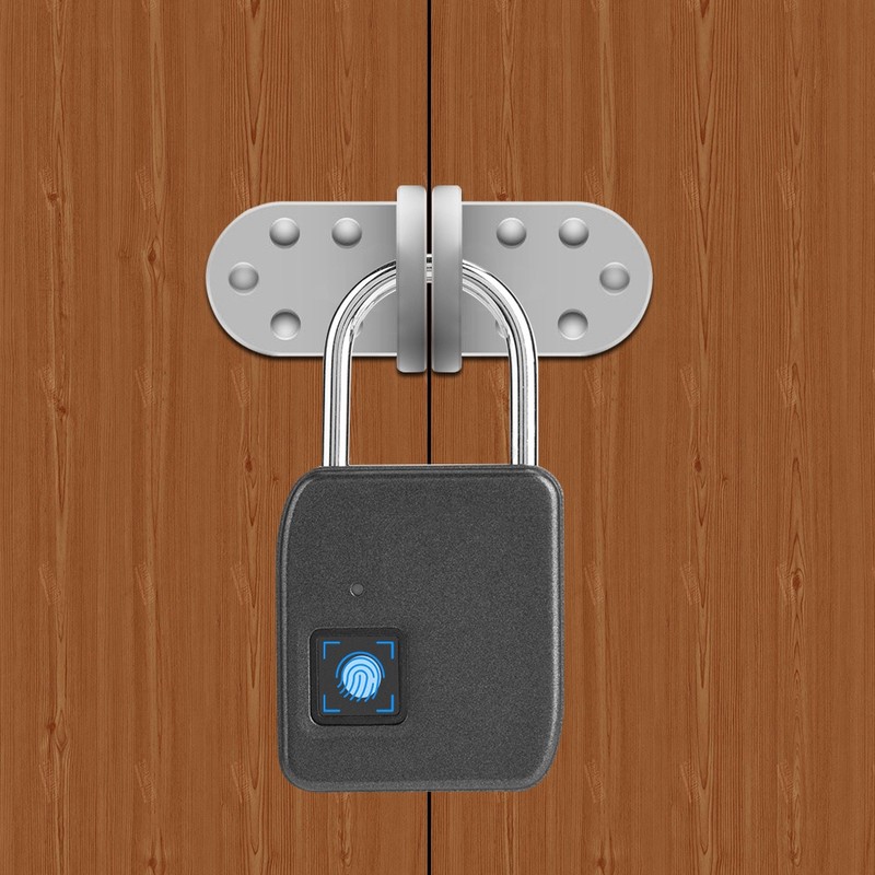 FipiLock Smart Fingerprint Padlock Anti theft Warehouse Dormitory Door Padlock(Gold)