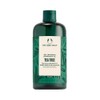 The Body Shop Tea Tree Purifying & Balancing Shampoo for