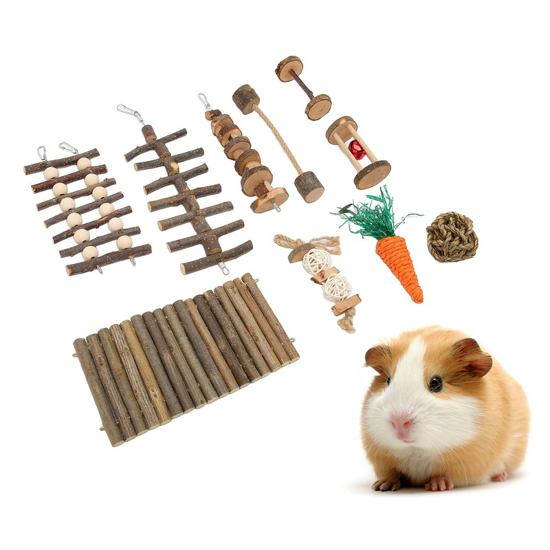 10pcs Hamster Chew Toys Set Natural Safe Teeth Grinding Exercise