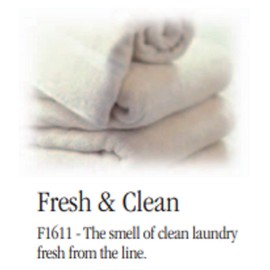 Alexandria's Fragrance Lamp Refill – Fresh and Clean - 16 Ounce - Can Be Used in Any Wick and Ceramic Burner Lamp