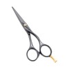 NTS-Solingen Professional Hairdressing Scissors Ergonomic Rustproof Titanium Coated 5.5 Inches