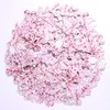 BOXOB 240pcs Pink Bow Confetti, Coquette Pink Bow Birthday Decorations