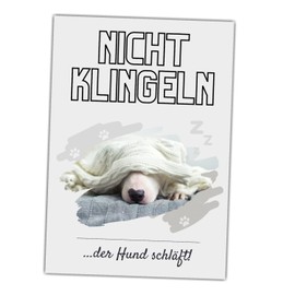 Bull Terrier Bully Dog Sign Dog Caution Do Not Bell Door Sign Dog Sign