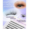 LZM Pre Glued Cluster Lashes Natural - C Curl 10-16mm