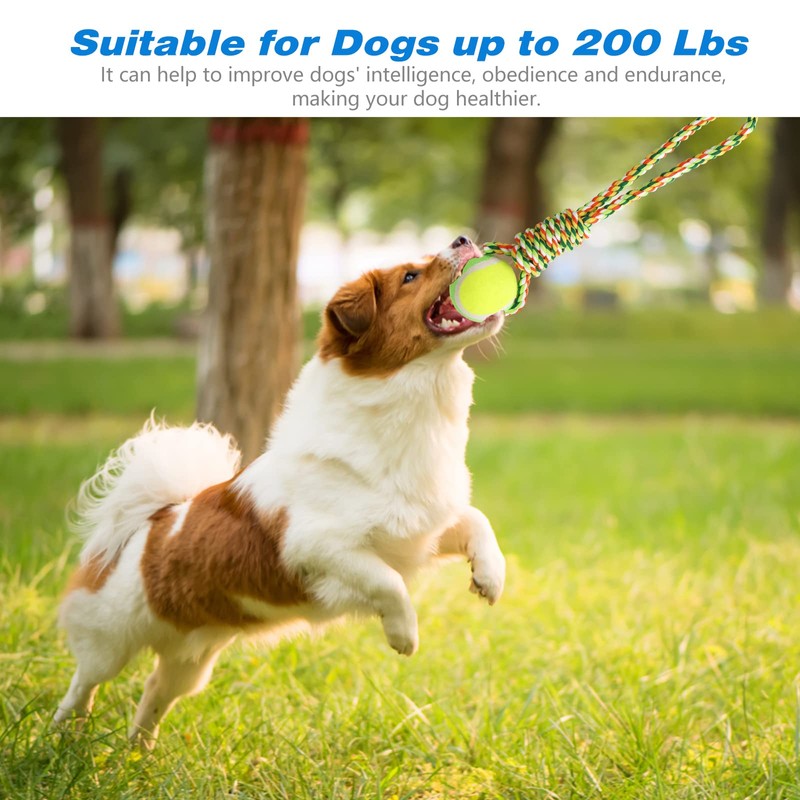 Yummy Sam Dog Ropes Toy,16.8 ft Rope & Spring Pole