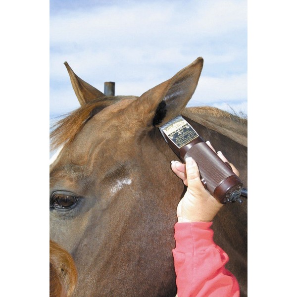 ECP Sheepskin Horse Ear Plug (Brown)