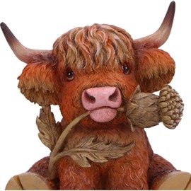 Nemesis Now Highland Thistle Highland Thistle Cow Figurine, Resin, Brown, Cast in the Finest Resin, Expertly Hand-Painted