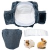 2PCS Small Pet Diapers,Guinea Pig Diapers,Reusable Squirrel Diapers,Washable,Specially Designed for