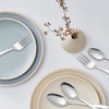 Gohytal Set di cucchiai da tè in acciaio inox, cucchiaini