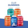 Qunol Turmeric and Ginger Gummies - Joint Support Supplement with