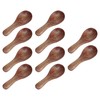 10pcs Small Wooden Spoons Cooking Condiments Spoons for Kitchen Seasoning