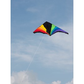 In the Breeze 3093 Rainbow Black Delta Kite, 6-Feet