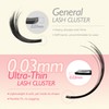 LASHVIEW CloudFloat Cluster Lashes,Lash Clusters Natural Look Cluster Lashes Extensions