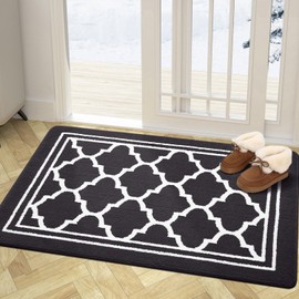 Buganda Indoor Door Mat, Resist Dirt and Absorbent Entrance Mat, Anti-Slip, Low Profile Inside Floor Mat Doormat for Entryway (48x32 inches, Dark Grey)