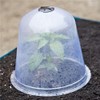 6PCS Reusable Garden Plant Cloche Plastic Dome Protective Seedling Covers