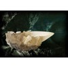 The Noble Collection France Noble Collection Der Kristallbecher aus der