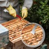 Tenalleys Stainless Steel Beekeeping Hive Tool Frame Lifter and Scraper