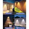 Etetale Solar Fence Lights Outdoor, 20 Pack Warm/Neutual/Cool White Fence