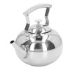 Stainless Steel Teapot Tea Kettle with Removable Filter High Temperature