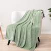 PAVILIA Soft Fleece Light Green Throw Blanket for Couch, Lightweight