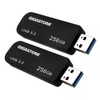 Gigastone Z30 256GB 2-Pack USB 3.2 Gen1 Flash Drive, Capless