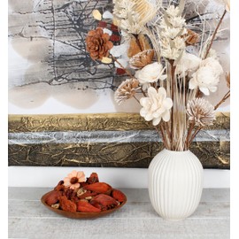 Dried Exotics Potpourri Botanicals 8 inch x 4 inch x 4 inch Set of 2 Pieces Bowl Filler, Vase Filler Spice Rust Assorted Unscented