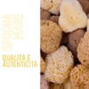 PENNELLIFICIO 2000 Natural Mediterranean Sea Sponge for Decorative Effects Wall
