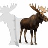 Moose 2FT Life Size Cardboard Cutout – A Fun Animal