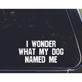 I Wonder What My Dog Named me - for Cars Funny Car Vinyl Bumper Sticker Window Decal | White | 7.5" inch